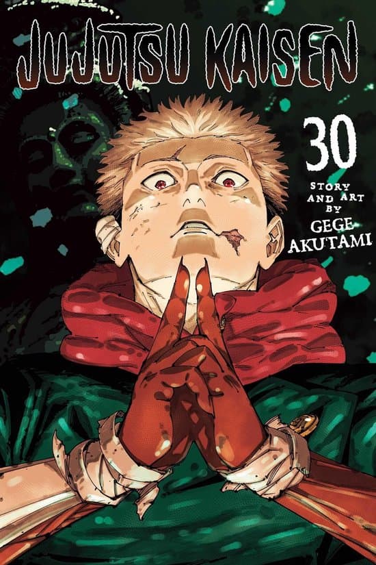 Jujutsu Kaisen- Jujutsu Kaisen, Vol. 30