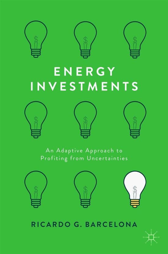 Business and Management (R0) - Energy Investments