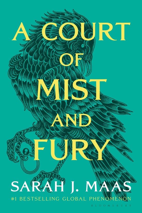 A Court of Thorns and Roses 2 - A Court of Mist and Fury