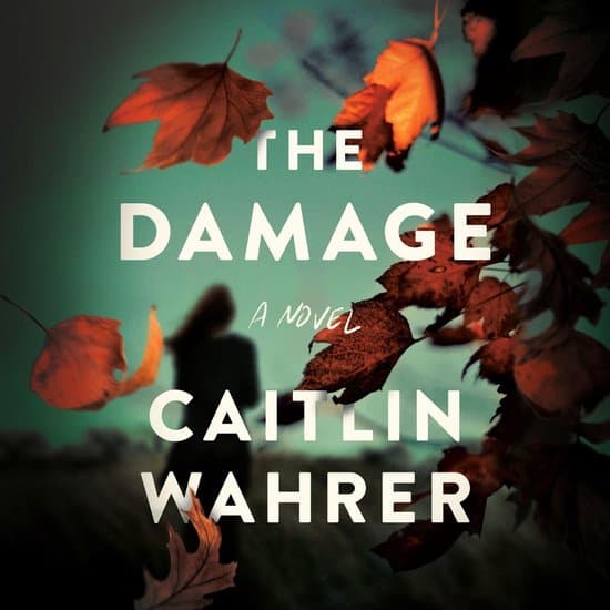 The Damage