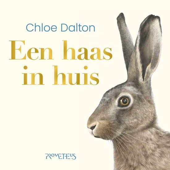 Een haas in huis