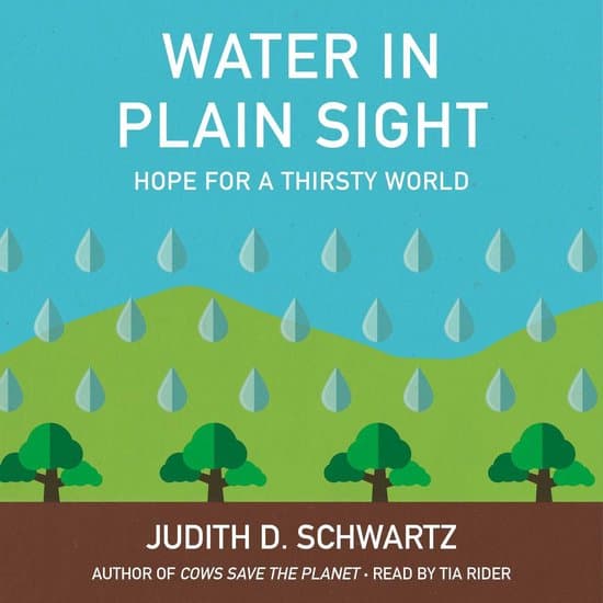 Water in Plain Sight
