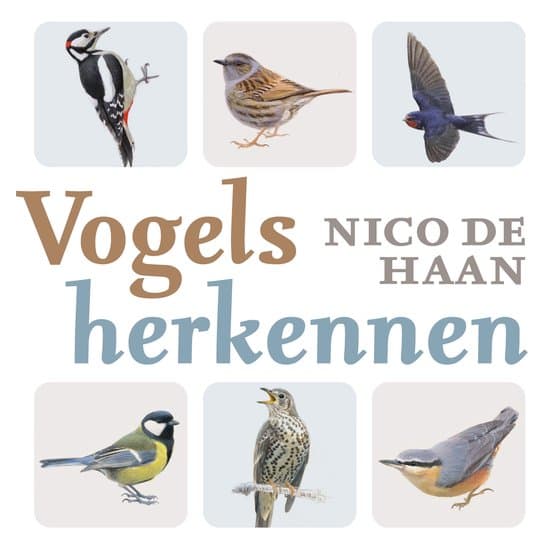 Vogels herkennen
