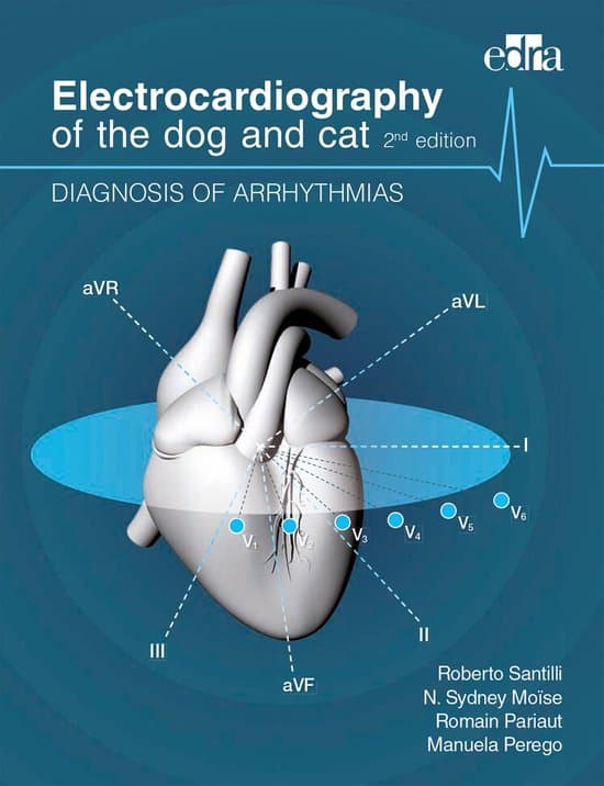 Electrocardiography of the dog and cat. 2nd edition