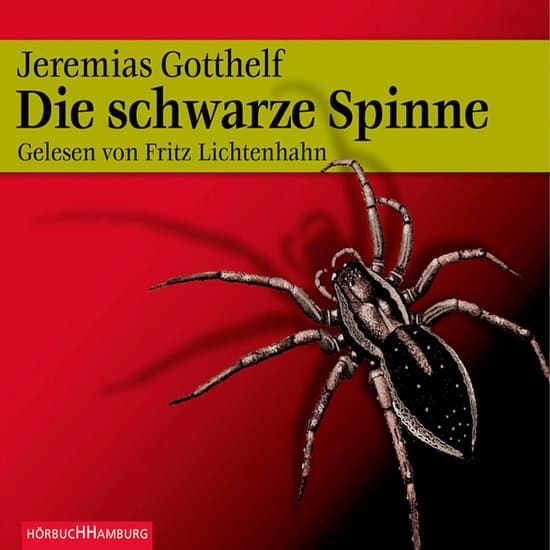 Die schwarze Spinne